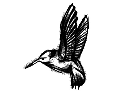 Bird2 bird black illustration