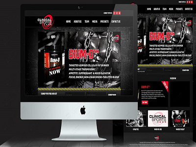 Clinical Sports Fitness Website Design fitness website design website design website design and development website development