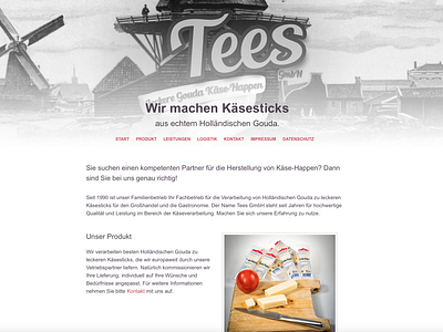 Tees GmbH · Throwback 2014 Website Project