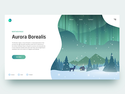 Aurora Borealis Home Page Concept design homepage illustration interface landing page travel ui user ux vector web webdesign website