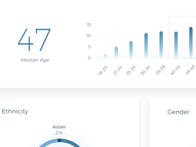 Street Metrics Analytics Application app design ui design ux