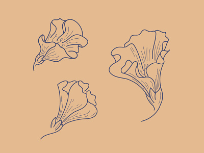 Flower Illustration design flowers illustraion two color vector