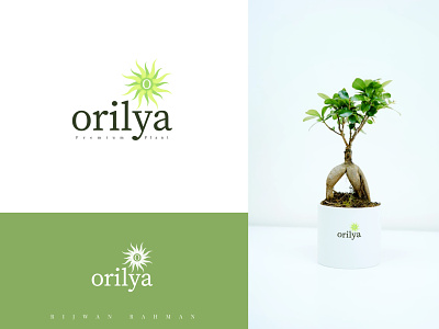 Potted Plant Logo