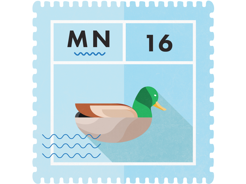 MN Stamp two tone color typography stamp graphic design illustration
