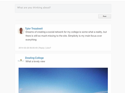 Dowling Social Network clean design dribbble facebook instagram social twitter ui web design
