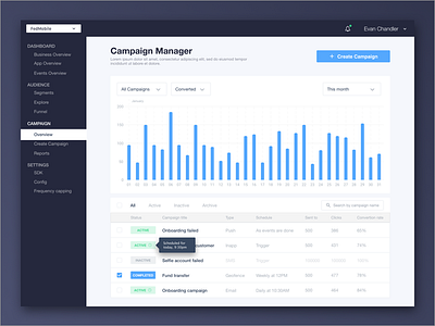 Campaign Manager - Compaz Analytics ads analytics campaign daily ui dashboard design graph notification push tool ui ux