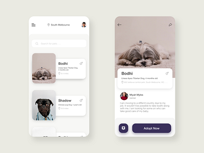 Bodhi | Pet Adoption adopt adoption animal app daily ui dailyui design dog dribbble best shot inspiration pet pet care ui ui design uitrends ux uxdesign