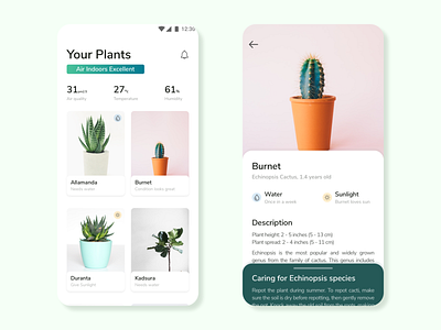 Plants and air quality | Daily UI air app dailyui design minimal page plants product product design ui ux web website