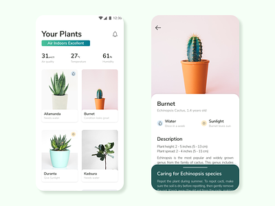 Plants and air quality | Daily UI air app dailyui design minimal page plants product product design ui ux web website