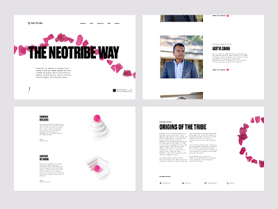 Neotribe Approach 3d layout story telling web