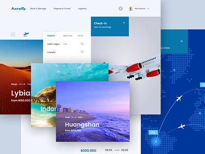 Aerofly aeroplane app aviation design flat minimal typography ui ux web website