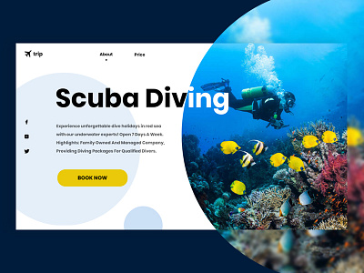 Scuba Diving bubbles design ocean photoshop scuba diving travel ui ux web website