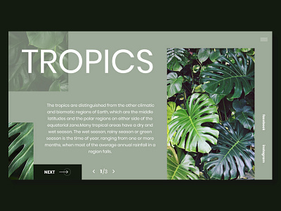 Tropics design nature photoshop tropic ui ux web website