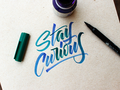 Stay curious - Calligraphy brushpen calligraphy calligraphy and lettering artist calligraphy design challenge design desing penbrush