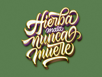 Lettering - Hierba mala nunca muere calligraphy calligraphy and lettering artist calligraphy design design desing illustration lettering