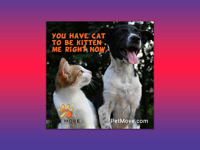 Pet Move Social digitalmarketing facebook ads graphic design instagram post socialmedia