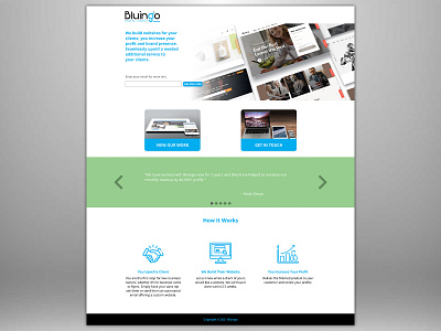Bluingo Digital Agency Landing Page graphic design landing page ui user interface design web design