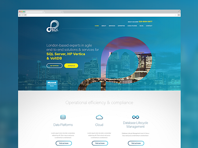 SQL Limited limely web design website wordpress