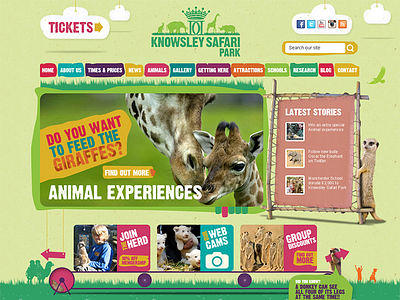 Knowsley Safari Park Website animals colourful safari web site website zoo