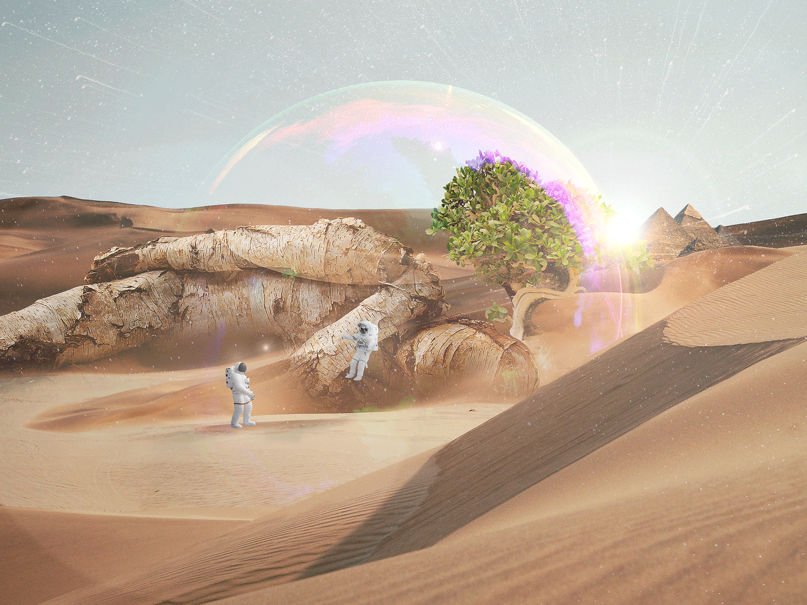 Quick artwork art artwork astronaut desert future nature past photoshop unsplash