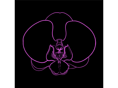 Цветок орхидеи дизайн значок иконка иллюстрация контур орхидея