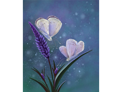 Ночные мотыльки бабочки дизайн иллюстрация лето мотыльки ночь растровая графика цветок