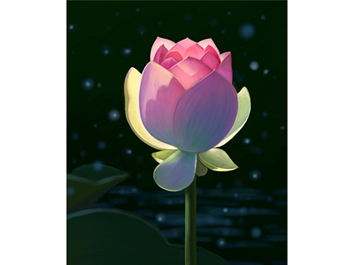 Цветок лотоса дизайн иллюстрация лето лотос лучи пруд солнце цветок