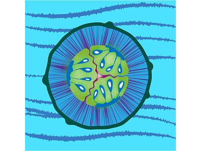 Голубой огурец вектор голубой иллюстрация круглый огурец семена срез стиль яркий