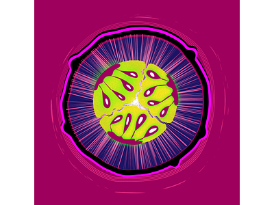 Розовый огурец вектор иллюстрации круг огурец розовый семена срез