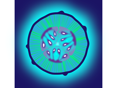 Космический огурец вектор иллюстрация космос круг неон огурец свечение семена срез фантазия