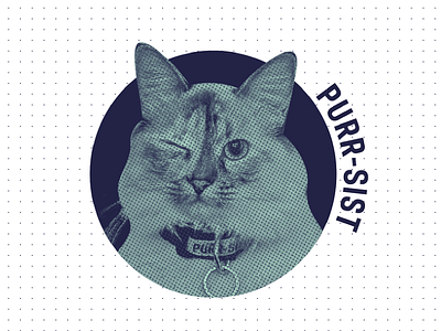 Purr-sist! campaign design cat cats design graphic graphic design icon illustration kitten kittens persist purrsist warren web design