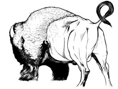 Buffalo (Illustration) animal buffalo illustration music sckecht