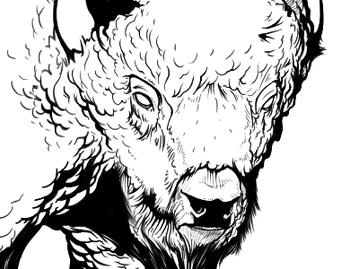 Buffalo - Front (Illustration) animal buffalo illustration skecht