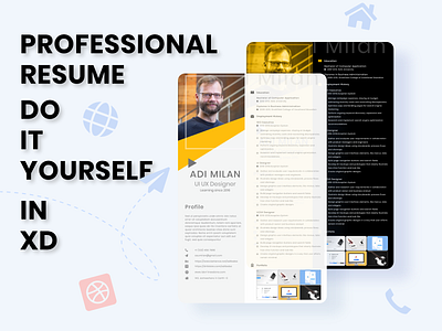 Professional resume DIY free xd template professional resume ui designer resume ui designer resume