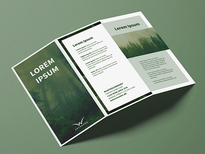 Nature Flyer Designs Themes Templates And Downloadable Graphic Elements On Dribbble