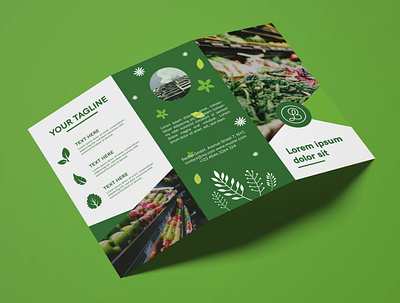 Brochure Design Green brochure brochure design creative creativity design designer flyer flyer design minimal modern shop trifold brochure typography