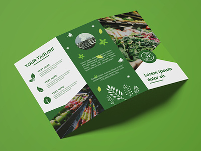 Brochure Design Green