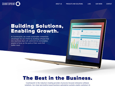 Counterpoint Consulting, Inc. single scroll tech company web design website