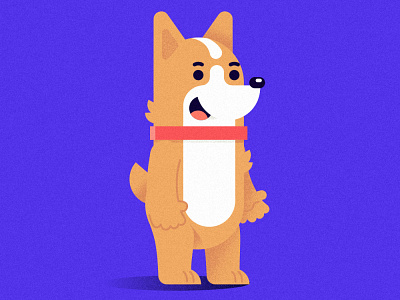 corgi