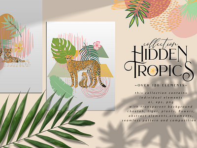 Hidden Tropics