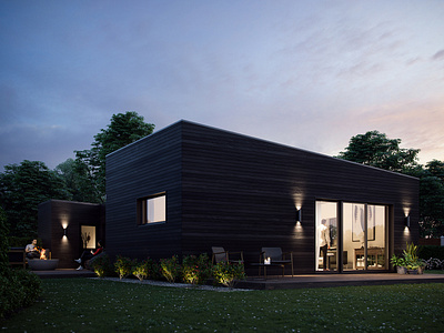 House France Night 3d architects architecture archviz build cgart cgi coronarender exterior render visualization