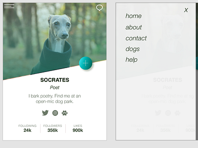 Social Profile for Dogs adobe xd app design icon prototype social ux web