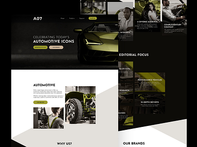 Monochromatic design cars design graphic design web design web development