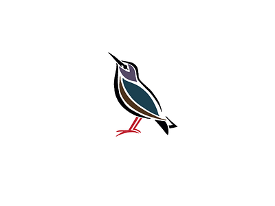 Bird illustration