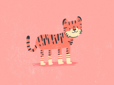 Tiger in Socks