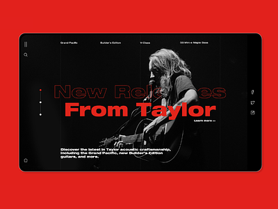 Taylor guitar ui ux web 插图 设计 音乐