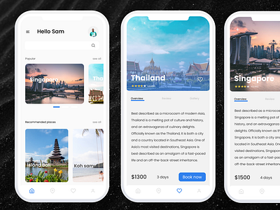 Travel APP -UI interaction