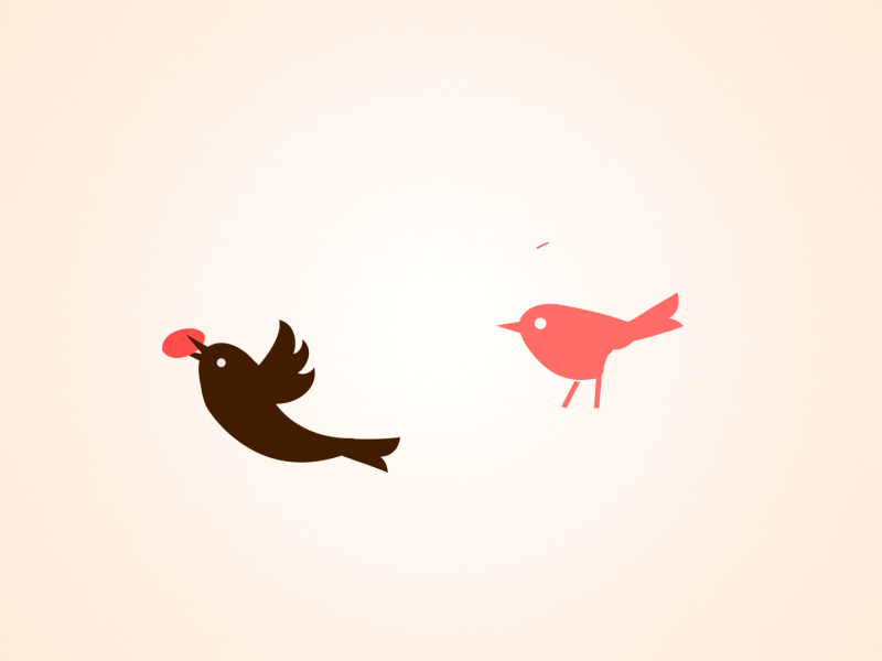 Logo animation with a lovely bird after affects animal animation 2d bird logo brand design branding cartoon creativity flying bird funny character iconography labeldesign logo looped mograph symbol icon trademark