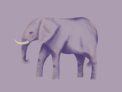 A quick elephant 🐘 animals illustration