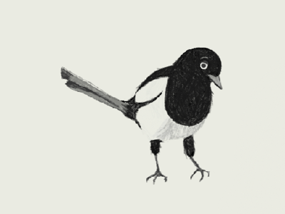 Bird from Peter and the Wolf animals bird illustration
